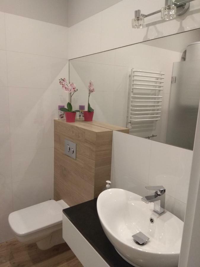 Apartament Sloneczny 6 考斯赛力克 外观 照片